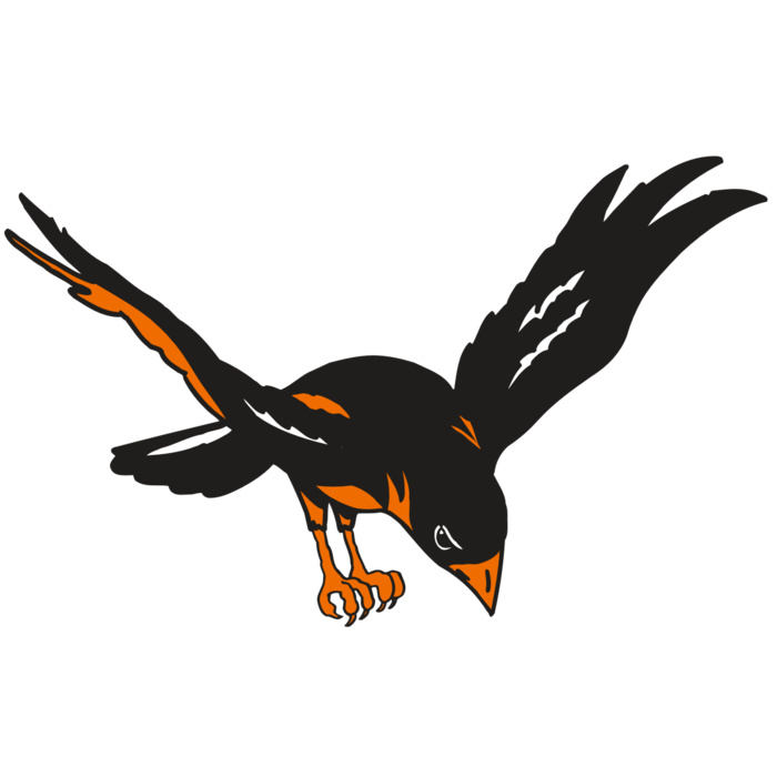 AR ORIOLE 16 RC Vignette