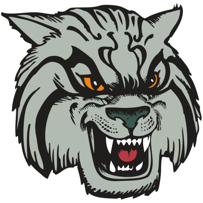 BAW WILDCAT 03 RC Vignette