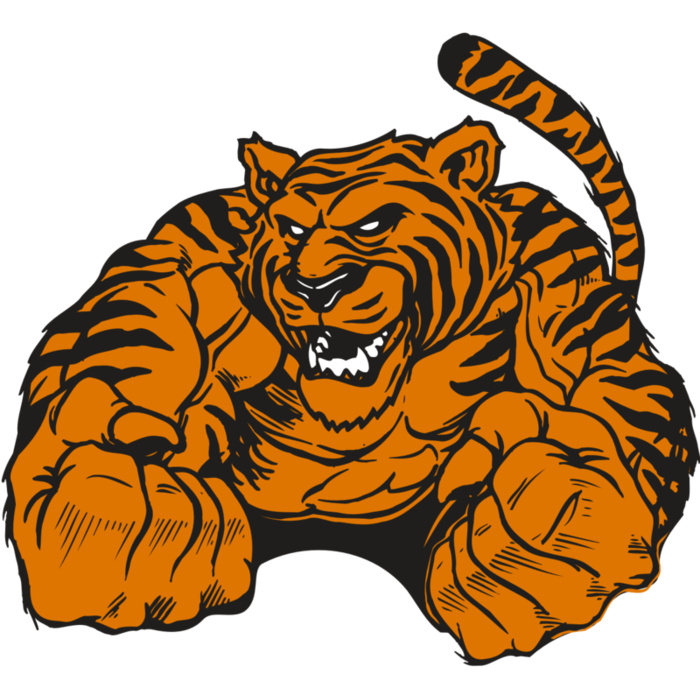 AR TIGER 55 RC Vignette