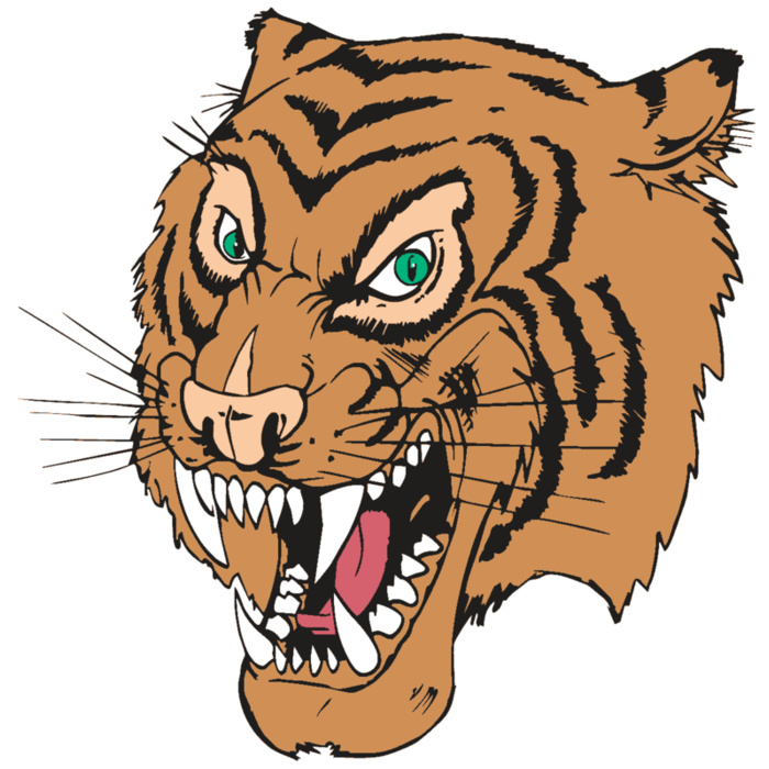 AR TIGER 49 RC Vignette