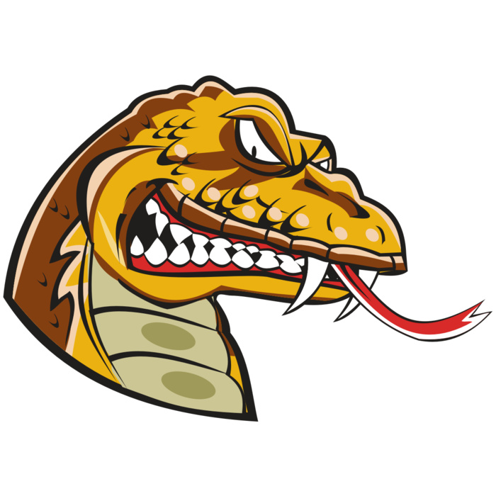 SNAKE HD0504 RQC Vignette