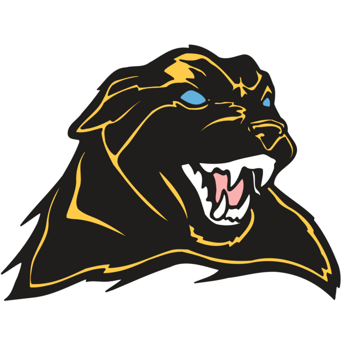 AR COUGAR 42 RC Vignette