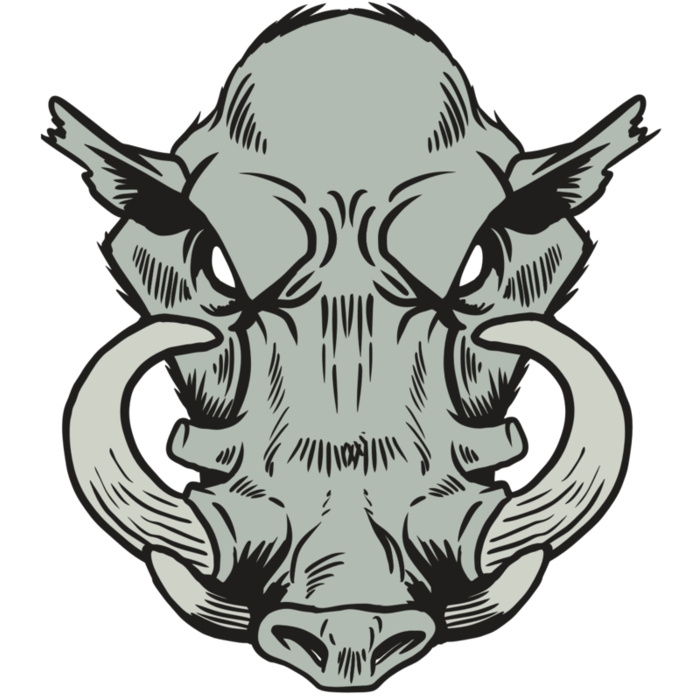 AR20 RAZORBACK 38 RQC Vignette