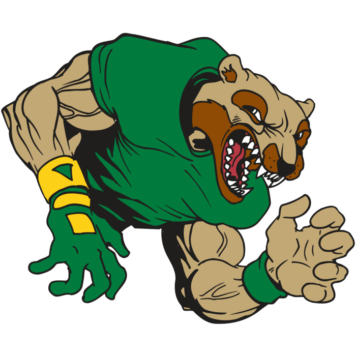 AR5 Wolverine 17 RQC Vignette