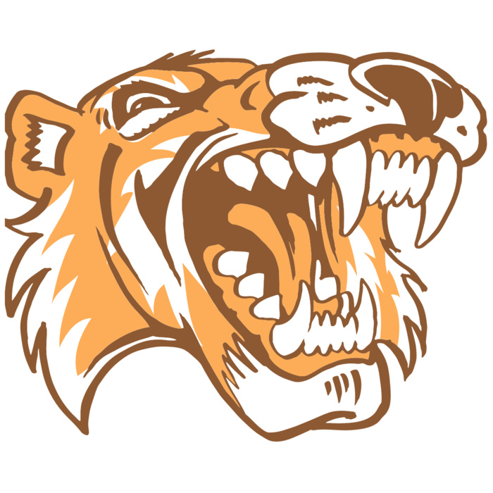 AR3 TIGER 01 RQC Vignette