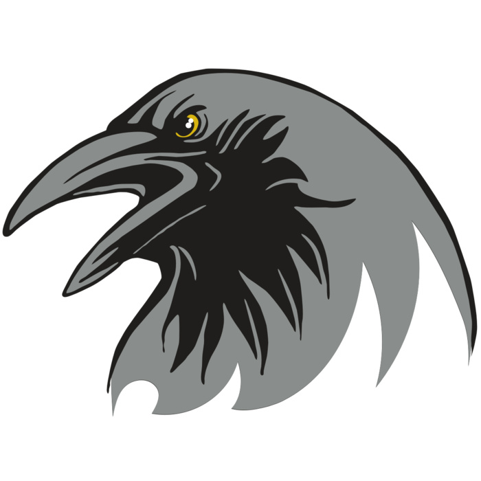 AR31 RAVEN 02 RQC Vignette