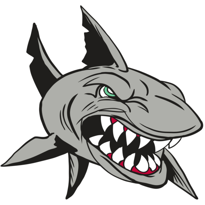 AR4 SHARK 01 RQC Vignette