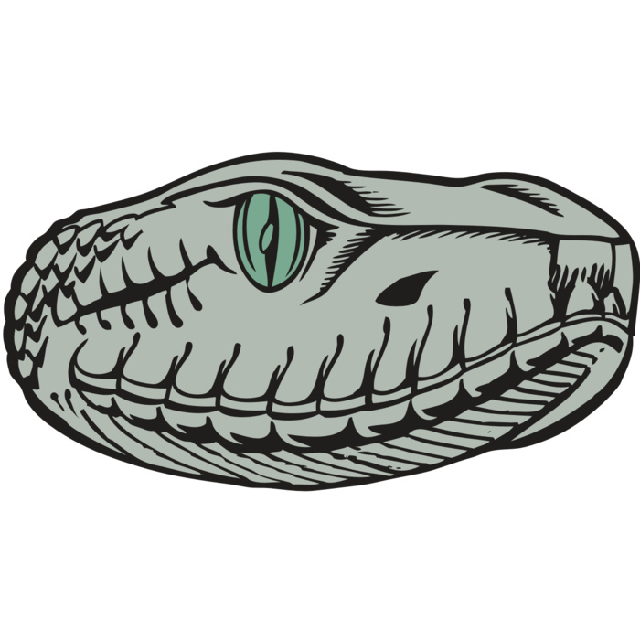 BAW SNAKE 10 RC Vignette