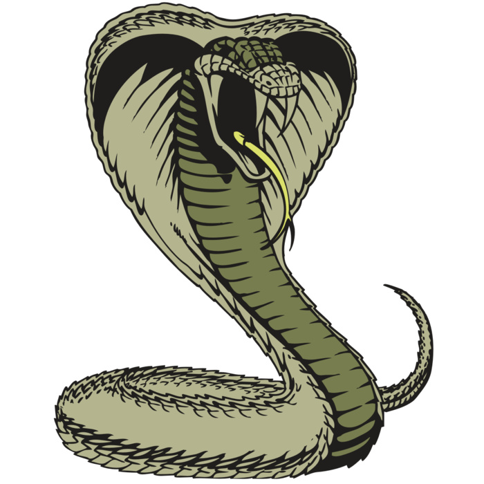 BAW SNAKE 07 RC Vignette