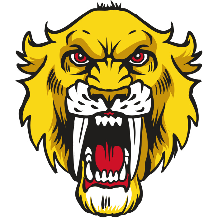 AR30 SABER 06 RQC Vignette