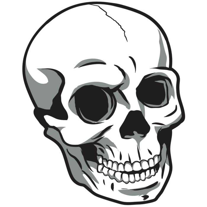 AR24 SKULL 14 RQC Vignette