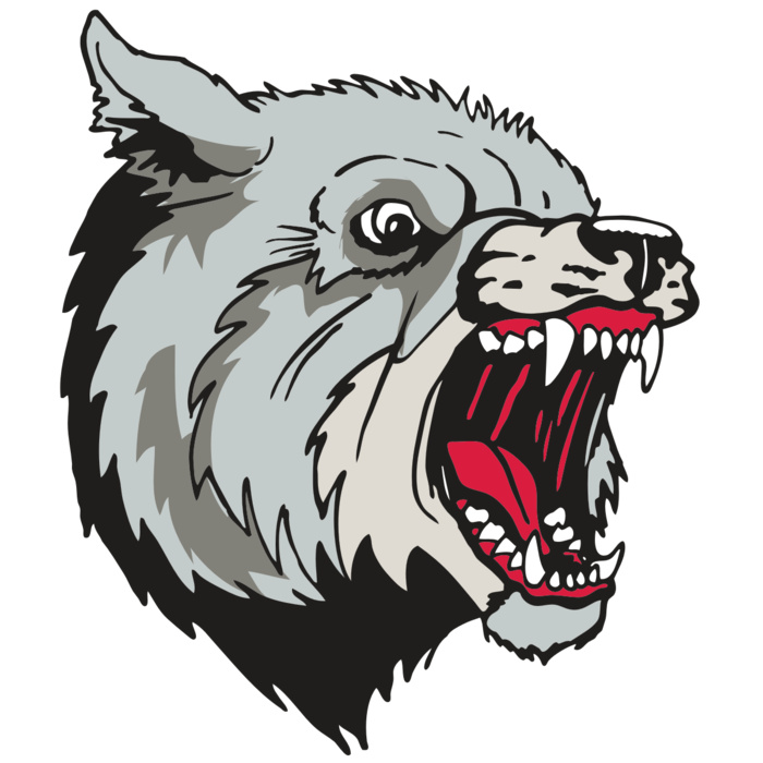 AR WOLF 38 RC Vignette