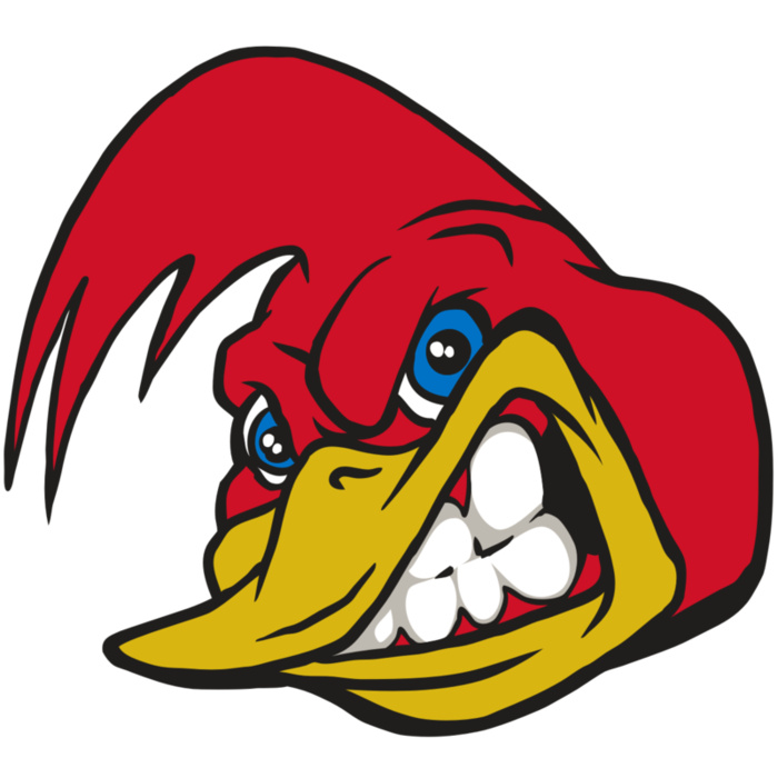 AR30 RRUNNER 03 RQC Vignette