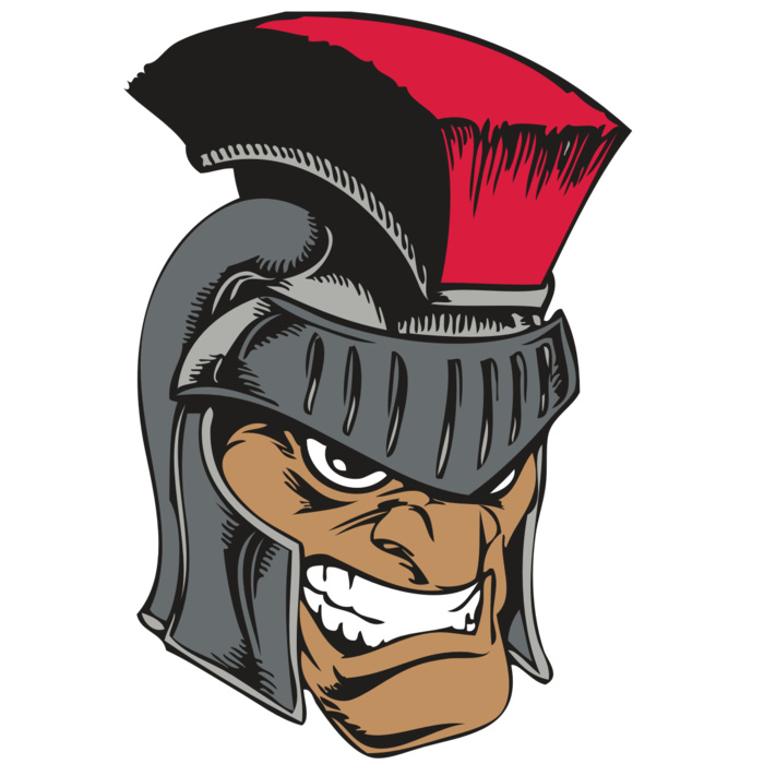 BAW PALADIN 07 RC Vignette