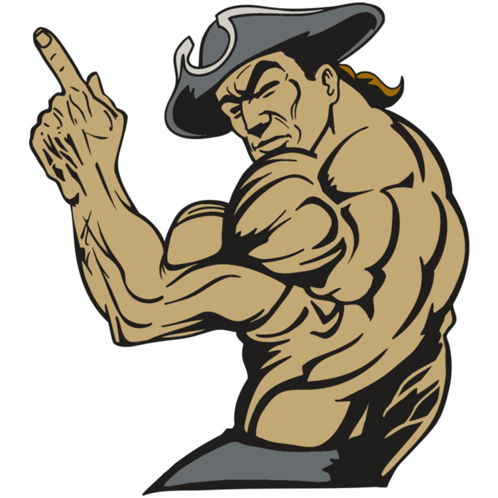 AR PATRIOT 53 RC Vignette