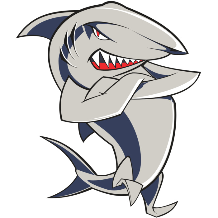 SHARK02 RC Vignette