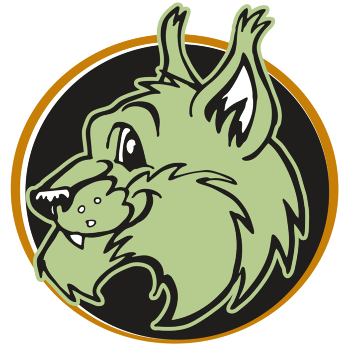 AR WILDCAT 17 RC Vignette