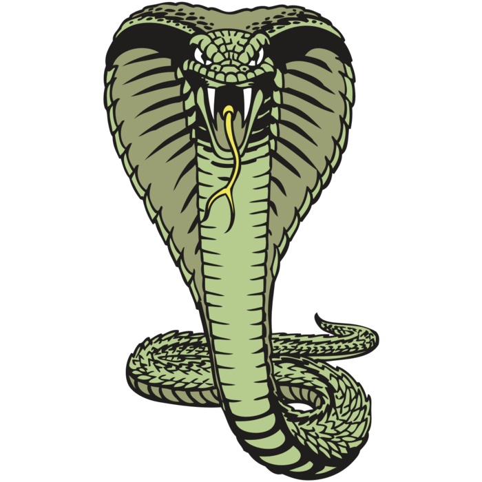 BAW SNAKE 15 RC Vignette