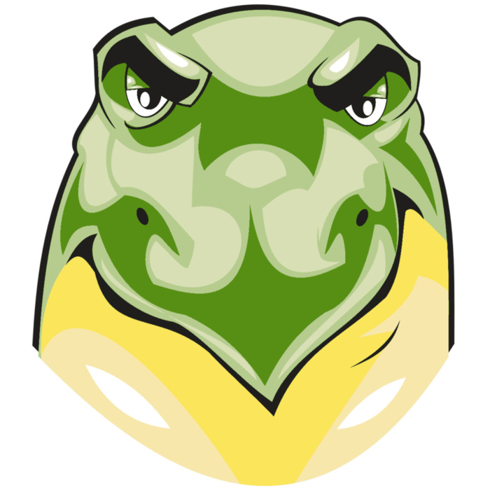 TURTLE HD0502 RQC Vignette