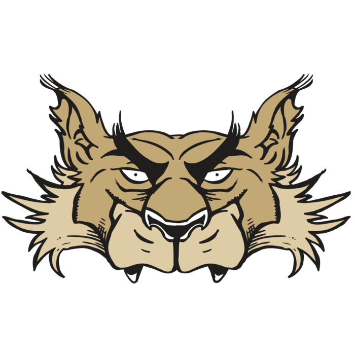 AR5 Wolf 28 RQC Vignette