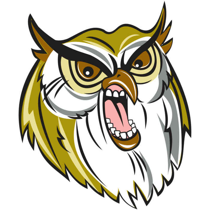 OWL HD0501 RQC Vignette