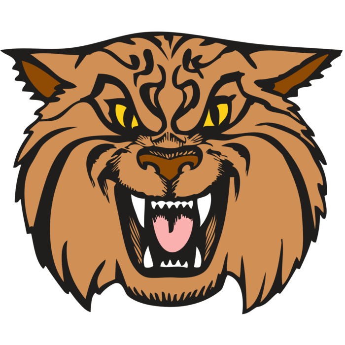 BAW WILDCAT 04 RC Vignette