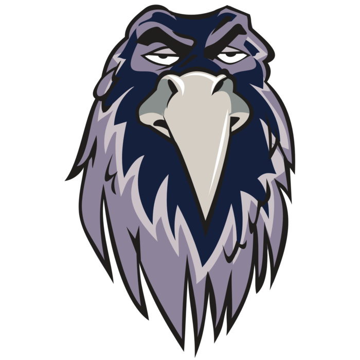 RAVEN HD0502 RQC Vignette