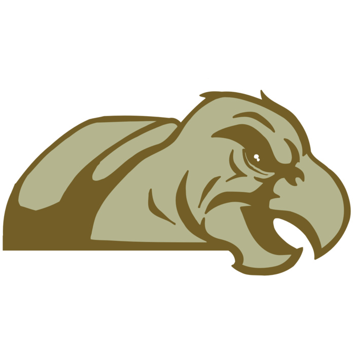 AR5 Turtle 02 RQC Vignette