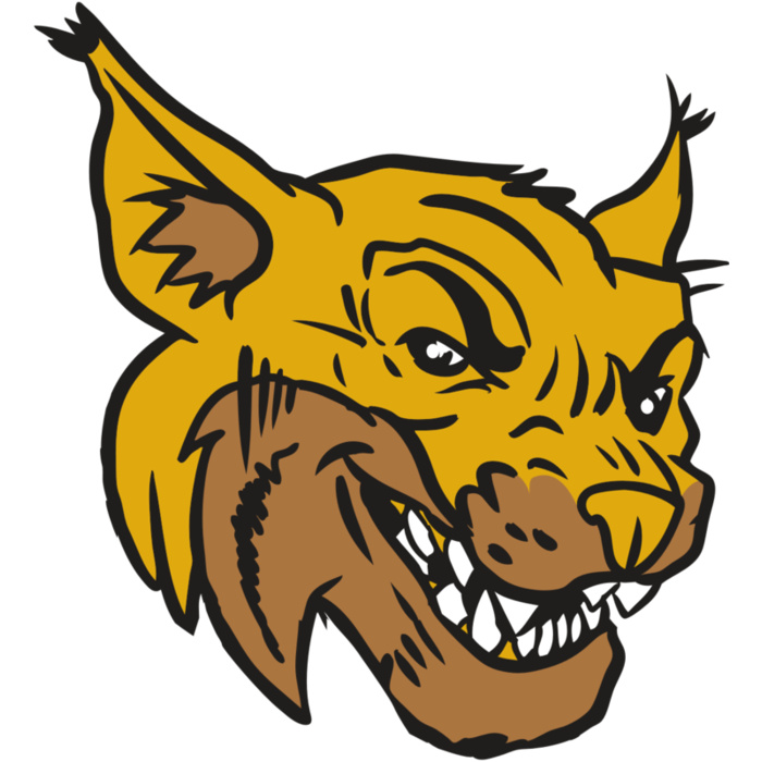 AR15 WILDCAT 01 RQC Vignette