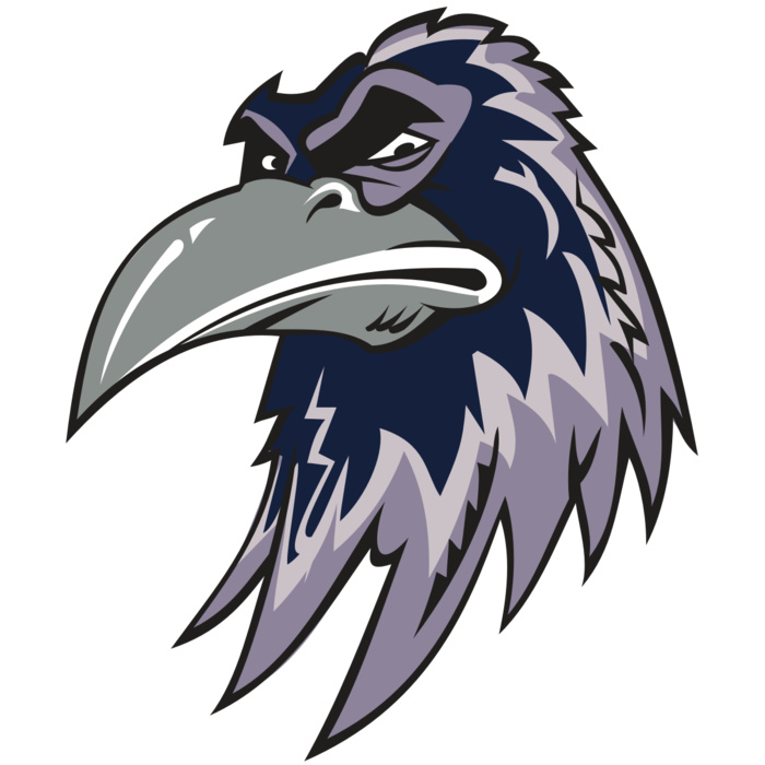 RAVEN HD0501 RQC Vignette