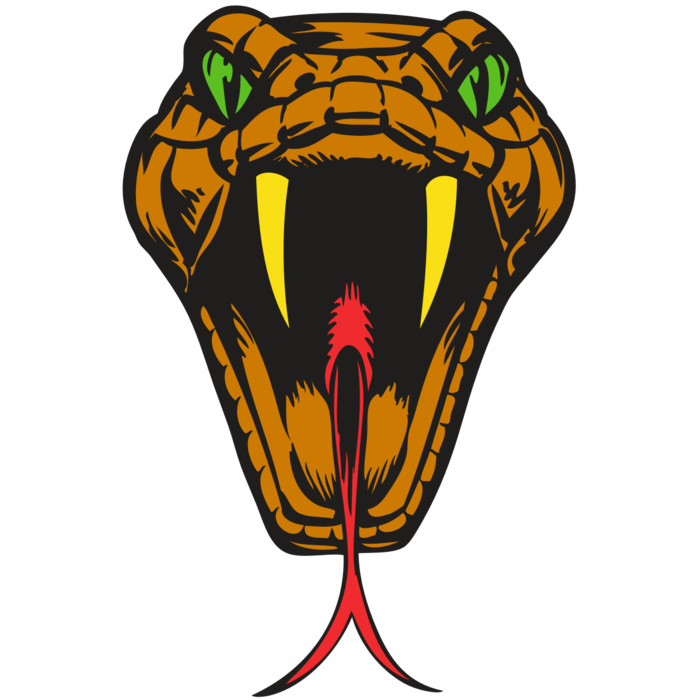 BAW SNAKE 05 RC Vignette