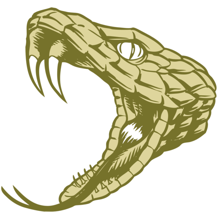 BAW SNAKE 11 RC Vignette