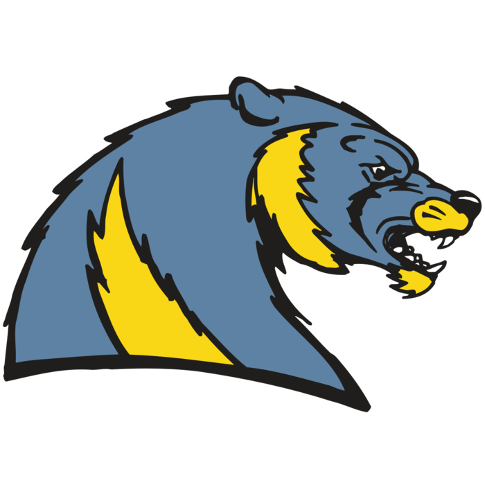 AR5 Wolverine 20 RQC Vignette