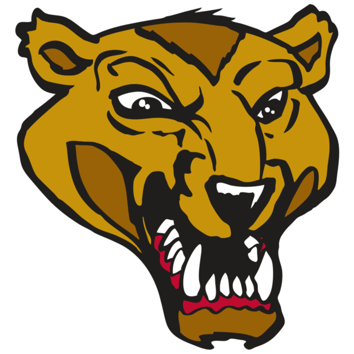 AR2 WOLVERINE 01 RQC Vignette