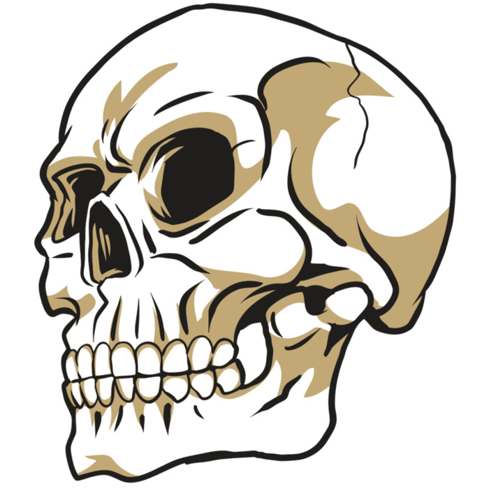 AR24 SKULL 08 RQC Vignette