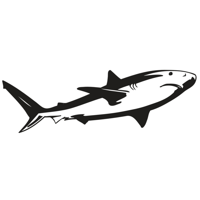 AR5 Shark 15 RQC Vignette