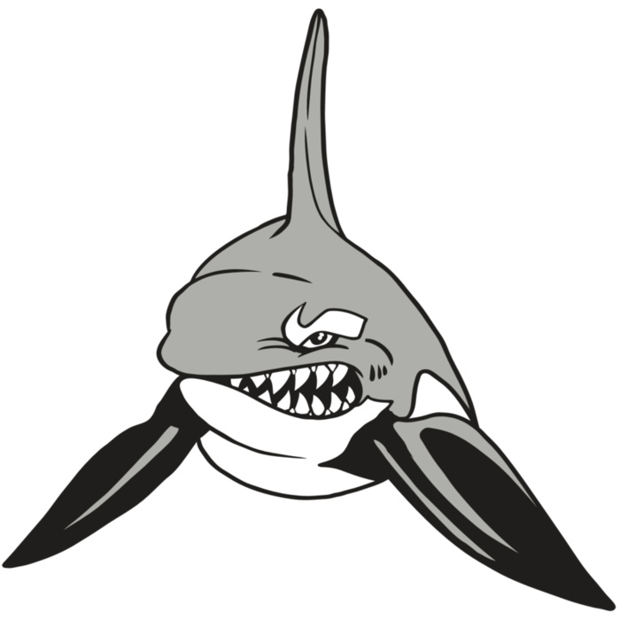 AR19 ORCA 03 RQC Vignette
