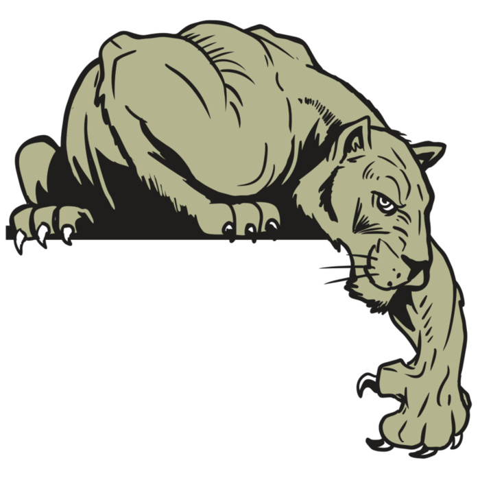 AR10 PANTHER 06 RQC Vignette