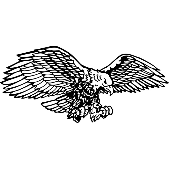 EAGLE003 Vignette