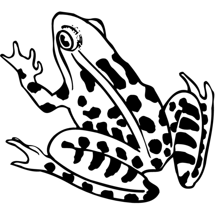 FROG01 Vignette