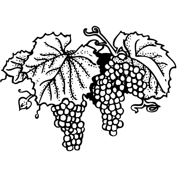 FRUIT005 Vignette