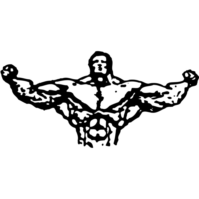 BODYBLD1 Vignette