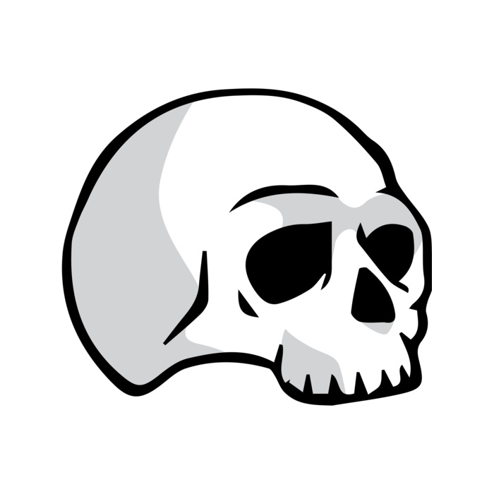 Elements Skull logo template 03 Vignette