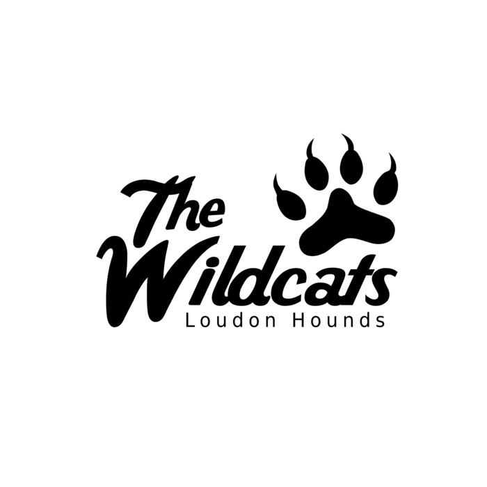 School Wildcats 01 Vignette