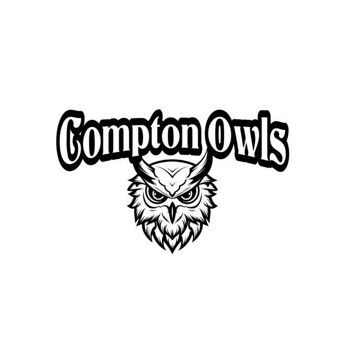 School Owls 02 Vignette