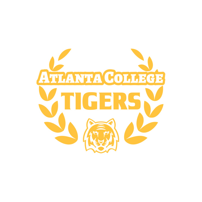 School Tigers 04 Vignette