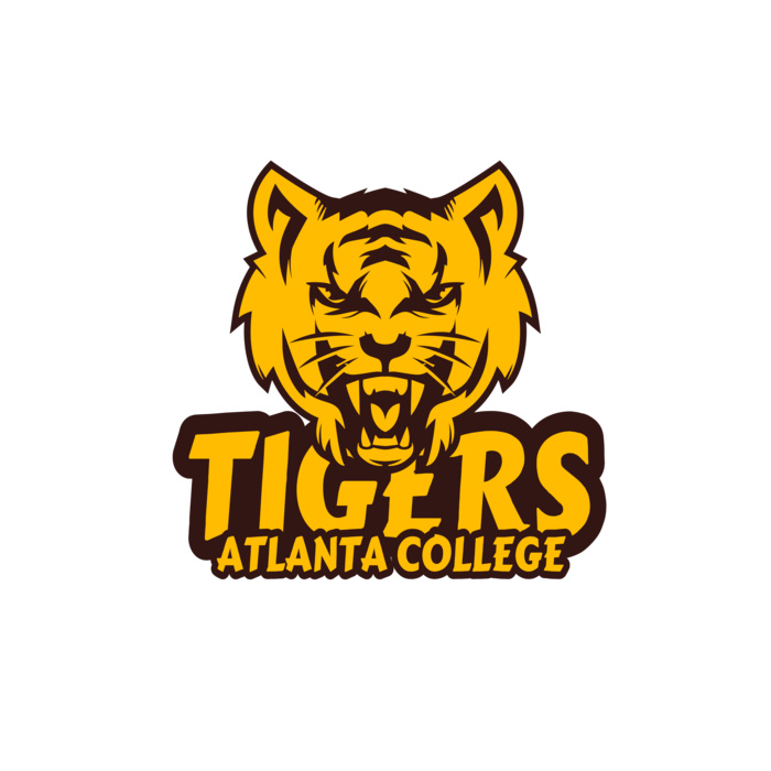 School Tigers 09 Vignette