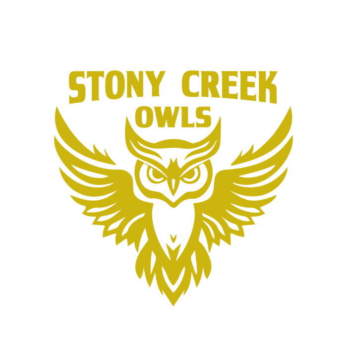 School Owls 04 Vignette