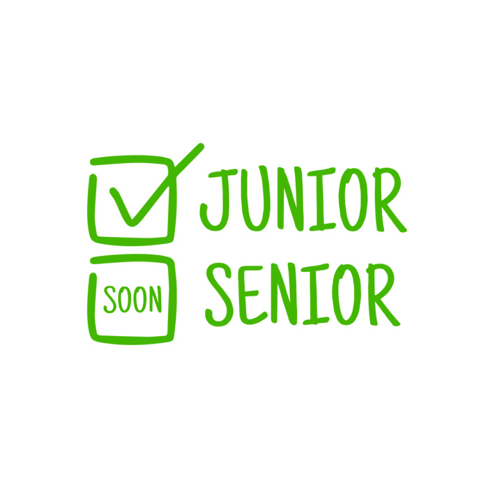 School Statement 24 Vignette