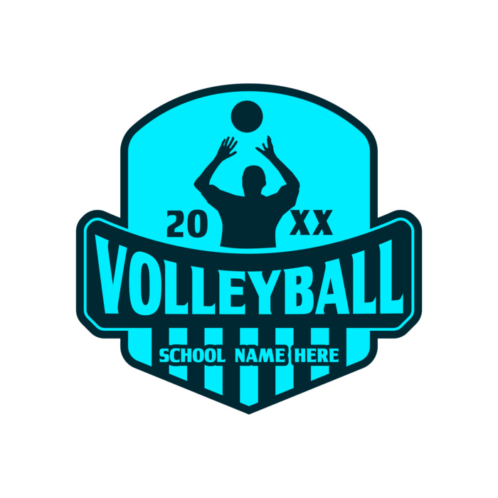 Volleyball 08 Vignette